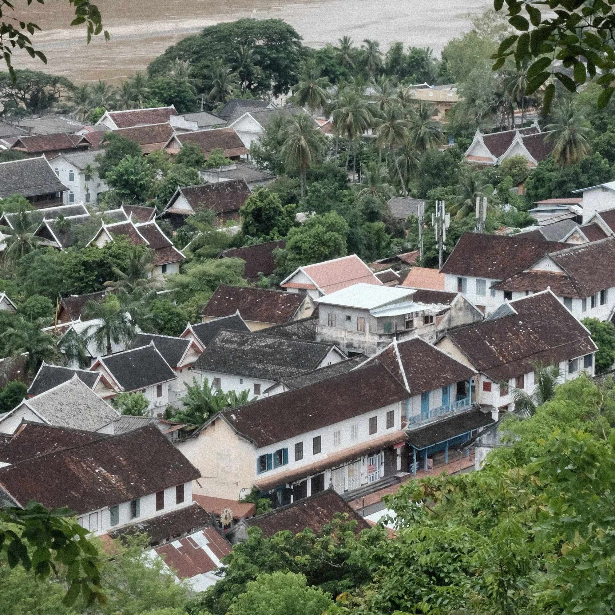 從高處俯瞰龍坡邦古城，棕櫚樹間散布紅色屋頂，後方是湄公河